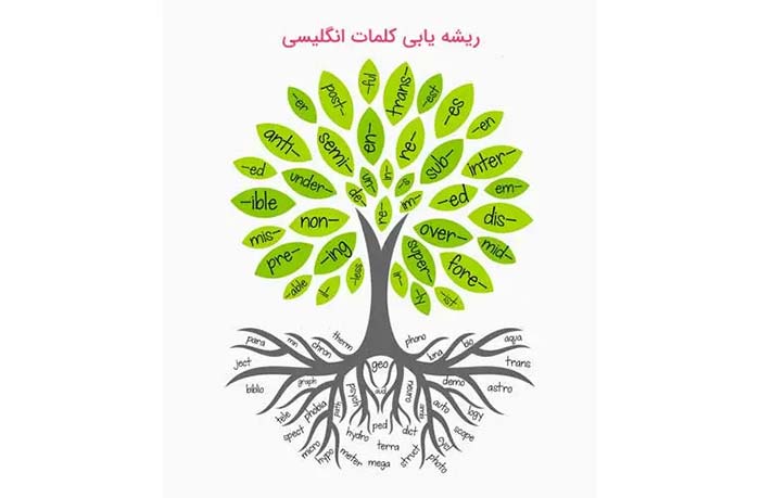 ریشه یابی کلمات