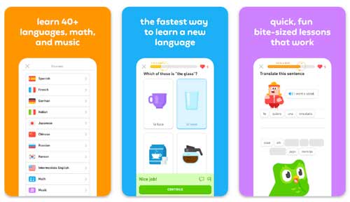 آموزش فرانسه اپلیکیشن دولینگو Duolingo